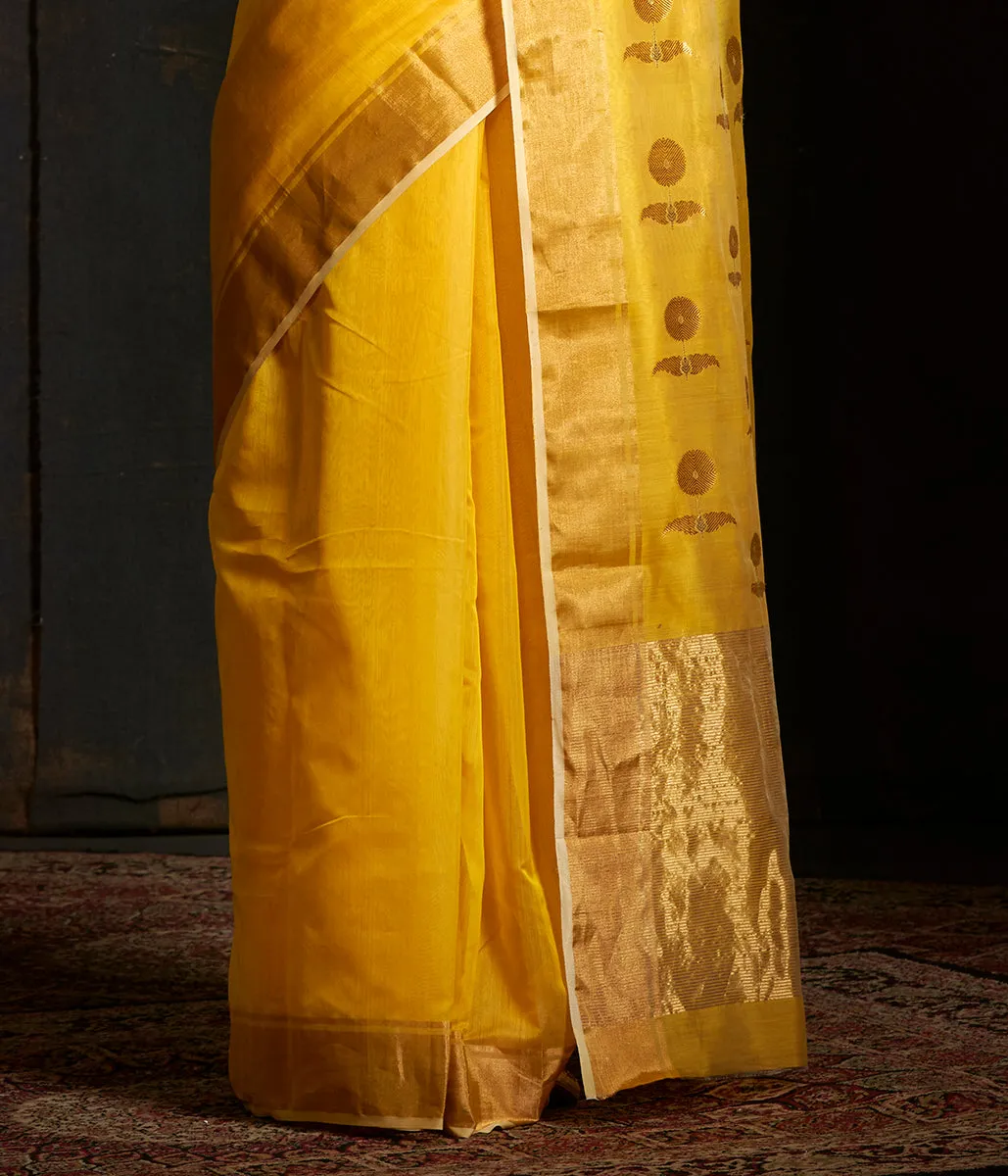 Handwoven yellow chanderi saree with sunflower motif on the pallu