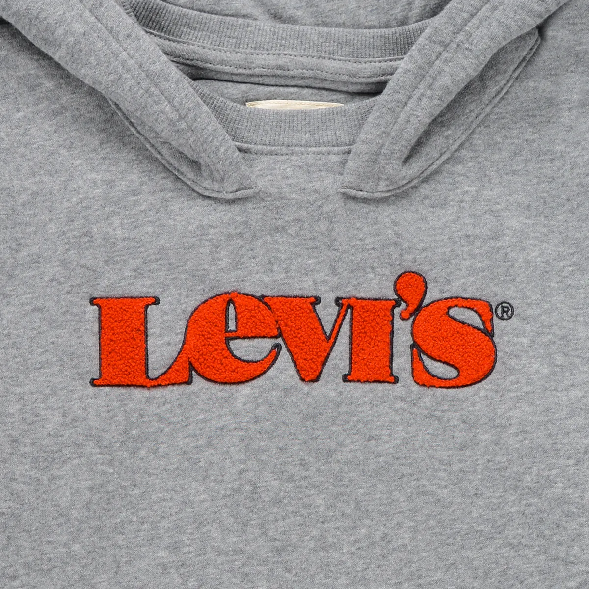 Levi's GRAPHIC PULLOVER HOODIE