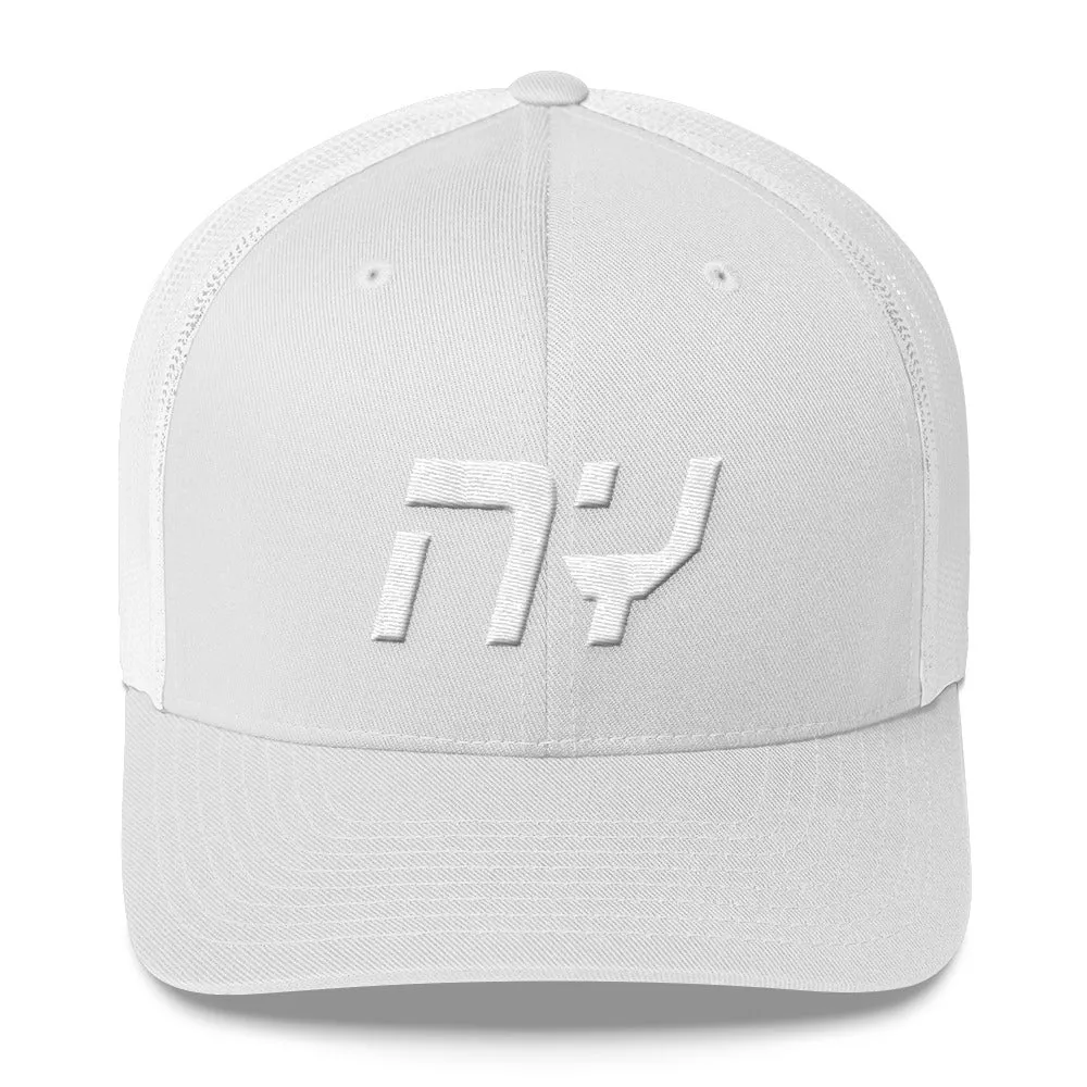 New York - Mesh Back Trucker Cap - White Embroidery - NY - Many Hat Color Options Available