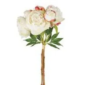 Peony Bouquet,  Cream