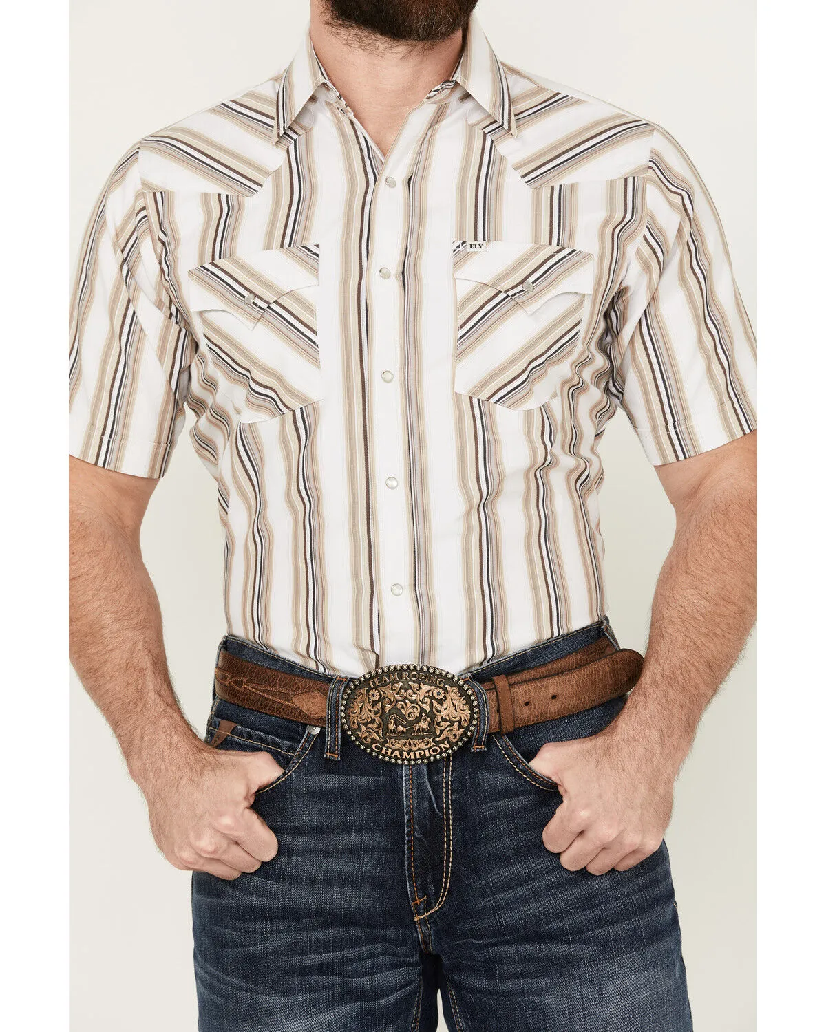 Product Name:  Ely Walker Men's Striped Print Short Sleeve Snap Western Shirt