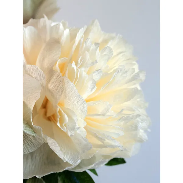 Unwilted Peony For Your Thoughts Bouquet